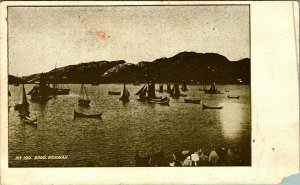 Ships and Boats on Water Bodø Norway UNP 1900s UDB Postcard