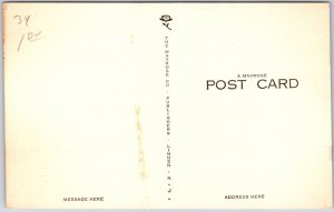 Butt Bitten By The Dog Atta Boy Rover Sic Him Comic Card Postcard