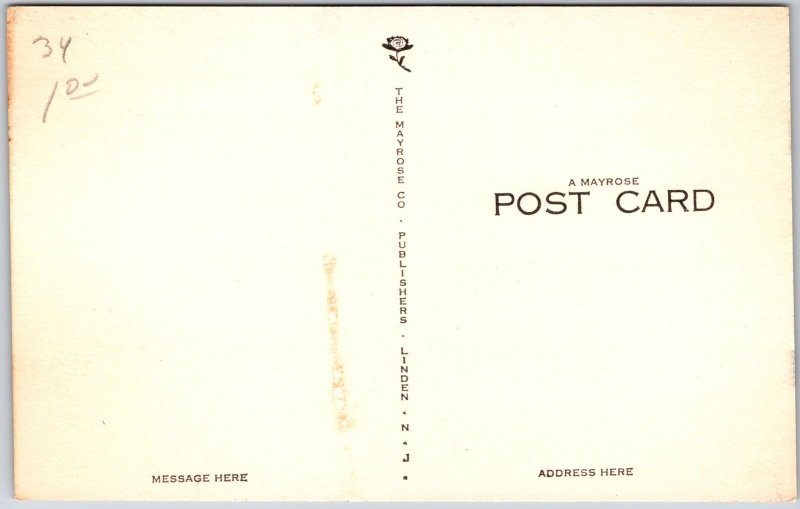 Butt Bitten By The Dog Atta Boy Rover Sic Him Comic Card Postcard