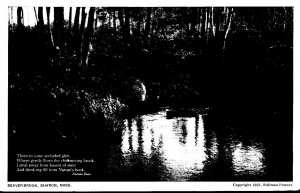 Massachusetts Sharon Beaver Brook 1923