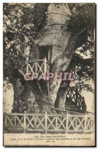 Old Postcard Allouville Big Oak Tree