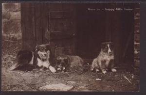 Ours is a Happy Little Home,Dogs Postcard 