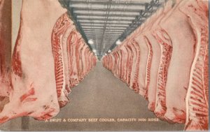 Swift and Company Beef Cooler Postcard