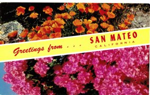 Greetings From San Mateo, California