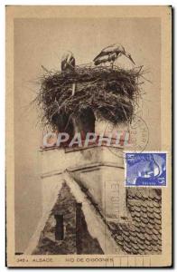 Old Postcard Alsace Storks Nest