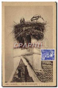 Old Postcard Alsace Storks Nest