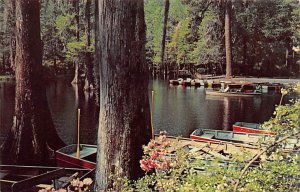 Cypress Gardens Boat Landing Charleston, South Carolina  