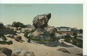 Kent Postcard - Toad Rock - Royal Tunbridge Wells - Ref TZ7340