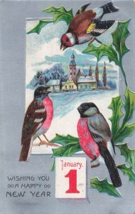 Vintage New Year Postcard January 1 with Birds & Winter Village Scene