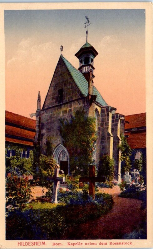 1920s Thousand Year Rose Hildesheim Germany Postcard