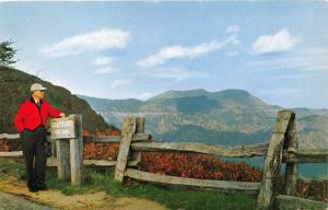 BLUE RIDGE PARKWAY NC GRAYBEARD MOUNTAIN~BLACK MOUNTAINS POSTCARD 1960s