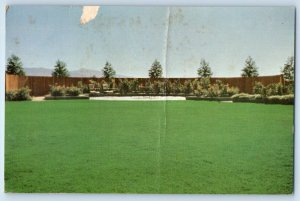 1960 Tucson Arizona Vintage Postcard Turfgrass Farm 22nd St. Meyer Zoysia Field