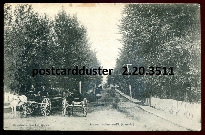 h3494 - POINTE AU PIC Quebec Postcard 1910s Avenue. Wagons Horses