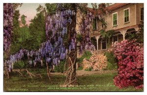 Hand Colored A Home Amongst the Wisteria and Azaleas, Summerville, SC