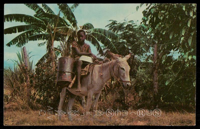 WATER BOY Dominion of Jamaica