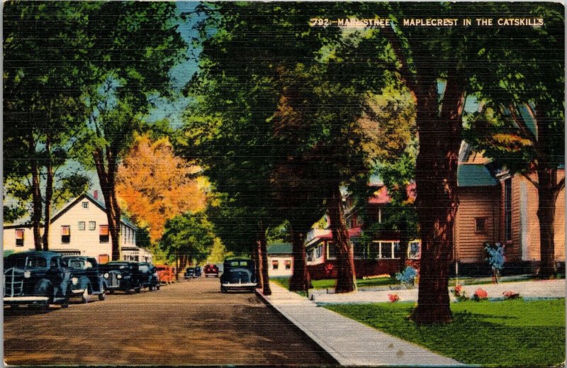 Main Street Maplecrest in the Catskills NY Postcard PC156