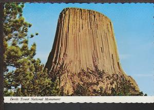 Devil's Tower WY Postcard BIN 761