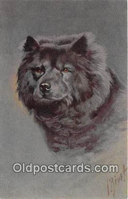 Chow Chow Dog Unused 