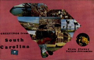 Greetings From South Carolina - Misc Postcard