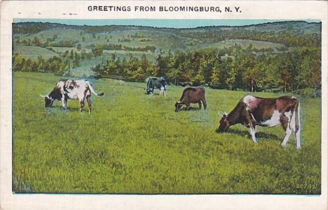 New York Greetings From Bloomingburg 1935