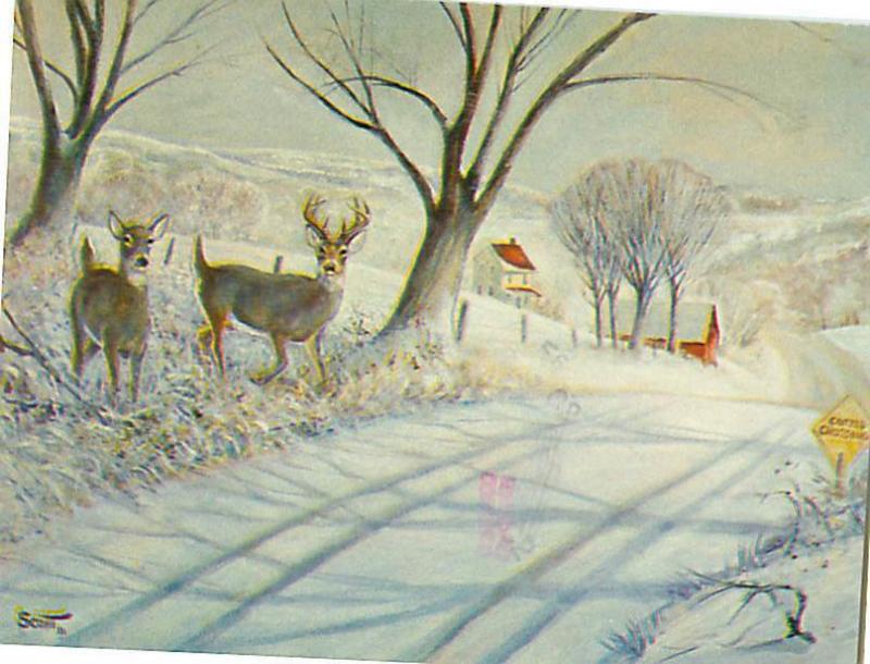 Rural Countryside Painting Robert Scott Deer Buck And Doe  Postcard  # 7412