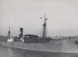 Grelrosa Tramp Steamer Ship Postcard