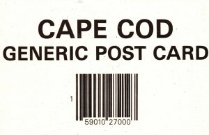 Vintage Postcard Cape Cod Generic Post Card Souvenirs Greetings Massachusetts MA