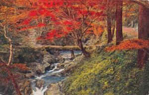 Osaka  Minomo Park    Bridge over stream with foliage