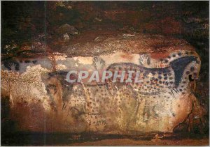 Postcard Modern Cabrerets Cave Phehistorique Pech Merle Horses Paintings Gall...