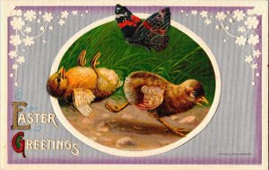 Vintage John Winsch Adorable Baby Chicks with Butterfly Antique Easter Postcard
