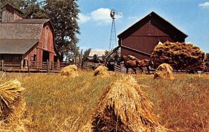 Amish Farmers Kalona, Iowa  