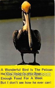 Pelican 1978 