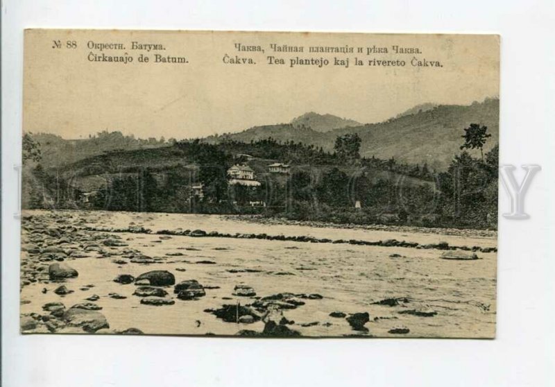 3171145 Adjara Georgia BATUMI Chakva River TEA vintage PC