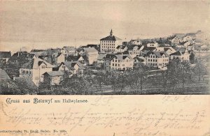 BEINWIL BEINWYL am HALLWYLERSEE SWITZERLAND~PANORAMA~1903 PHOTO POSTCARD