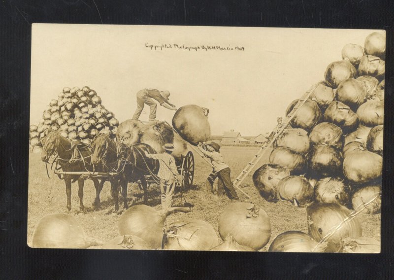 RPPC W.H. MARTIN EXAGGERATION ONION FARMING VINTAGE REAL PHOTO POSTCARD