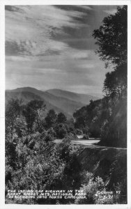 Cline Great Smokey Mountains Indian Gap Highway 1935 RPPC Photo Postcard 11356