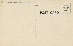 Sea Gulls on the Beach