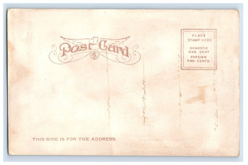 C. 1905 Pack Square, Asheville, N. C. Postcard F132E