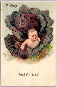 I Think I'm Cute Little Baby Boy Inside The Vegetable Just Arrived Postcard
