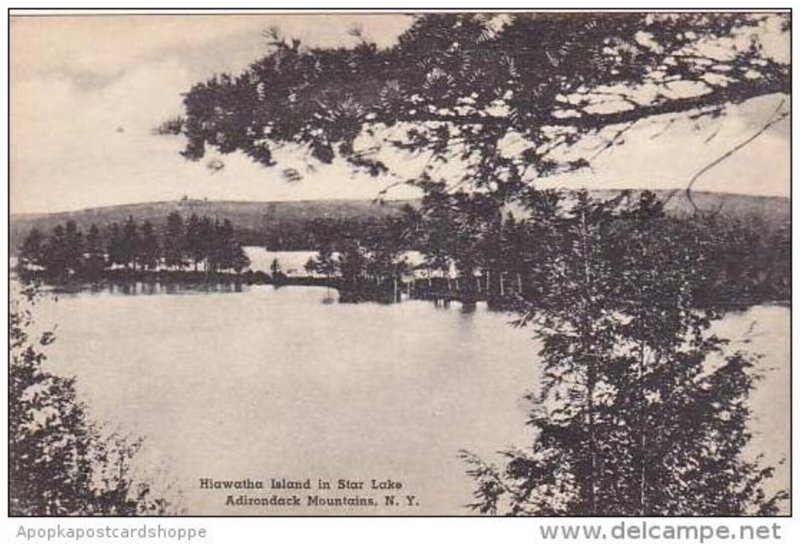 New York Adirondack Adirondack Mountains Hiawatha Island In Star Lake Albertype