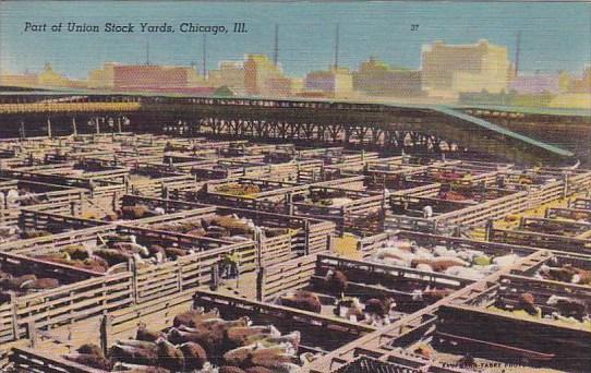 Illinois Chicago Part Of Union Stock Yards