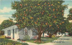 Winter Haven Florida Van Dyke Motor Court Teich linen roadside Postcard 21-6111