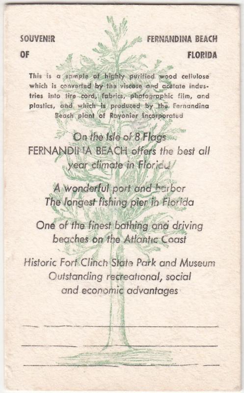 Souvenir of Fernandina Beach Florida purified wood cellulose paper postcard