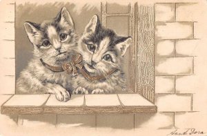 Cats in Window with Bow PFB Vintage Postcard AA23444
