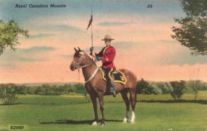 Vintage Postcard 1951 Royal Canadian Mountie Police Riding Horse Field Canada