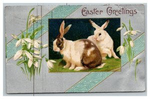 Vintage 1908 Winsch Back Easter Postcard Cute Bunnies White Flowers Silver Face