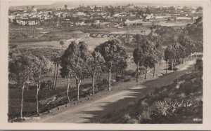 RPPC Postcard Canary Islands Telde Spain