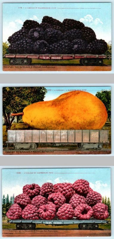 3 Exaggeration Postcards CARLOAD of  BLACKBERRIES, PEAR, RASPBERRIES 1910