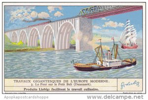 Liebig Trade Card s1319 Great Engineering Feats Of Europe No 3 Le Pont sur le...