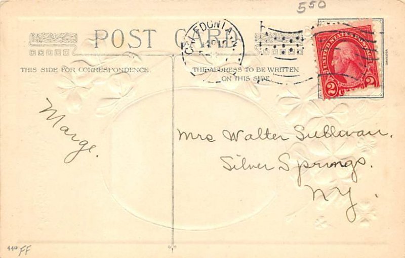 St Patricks Day View Images 